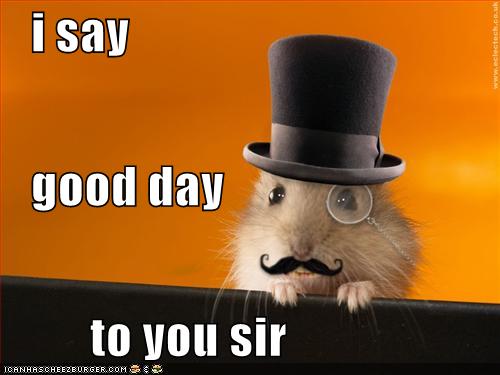 Image result for i say good day