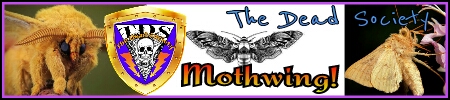 Name:  MothMan.jpg
Views: 351
Size:  57.9 KB