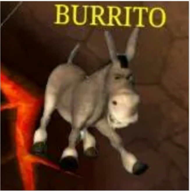Name:  Burrito.jpg
Views: 417
Size:  233.5 KB
