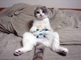 Name:  cat.jpg
Views: 1048
Size:  8.5 KB