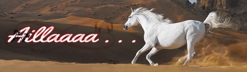 Name:  image.jpg
Views: 239
Size:  49.3 KB