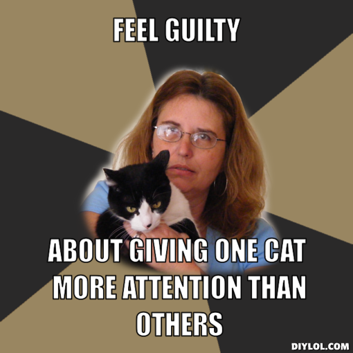 Name:  crazy-cat-lady-meme-generator-feel-guilty-about-giving-one-cat-more-attention-than-others-b3e697.png
Views: 227
Size:  171.6 KB