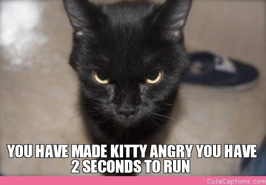 Name:  you-have-made-kitty-angry-you-have.jpg
Views: 5976
Size:  50.1 KB