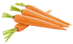 Name:  carrot.jpg
Views: 72
Size:  7.0 KB