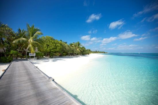 Name:  lux-maldives.jpg
Views: 267
Size:  26.8 KB