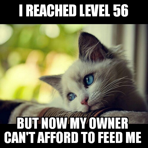 Name:  First World Problems Cat 17032016105115.jpg
Views: 1149
Size:  61.7 KB