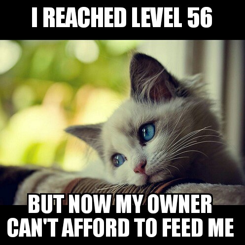 Name:  First World Problems Cat 17032016105115.jpg
Views: 1536
Size:  61.7 KB