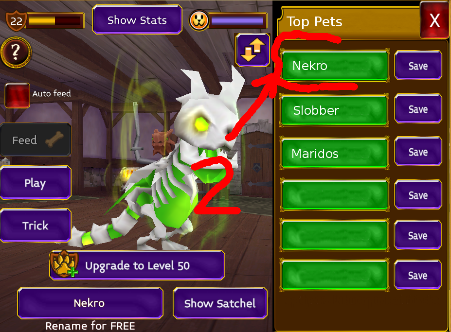 Name:  top pet2.png
Views: 207
Size:  597.2 KB