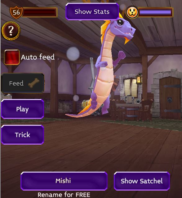 Hisha And Mishi Dragon Spirit Pets