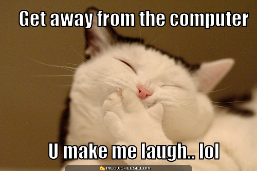 Name:  laughing-cat.jpg
Views: 1312
Size:  129.4 KB