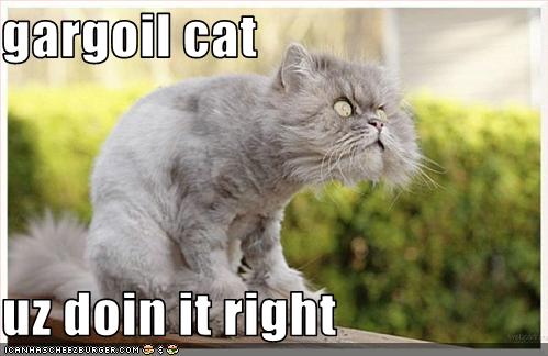 Name:  funny_pictures_cat_is_a_gargoyle_Lolcatz-s499x324-33457-580.jpg
Views: 528
Size:  29.2 KB
