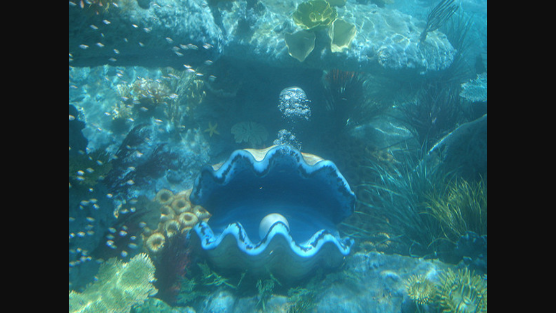 Name:  IMG_0373.PNG
Views: 565
Size:  1.32 MB