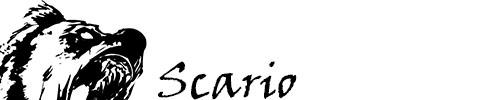 Name:  STSSIG1.jpg
Views: 1552
Size:  24.3 KB