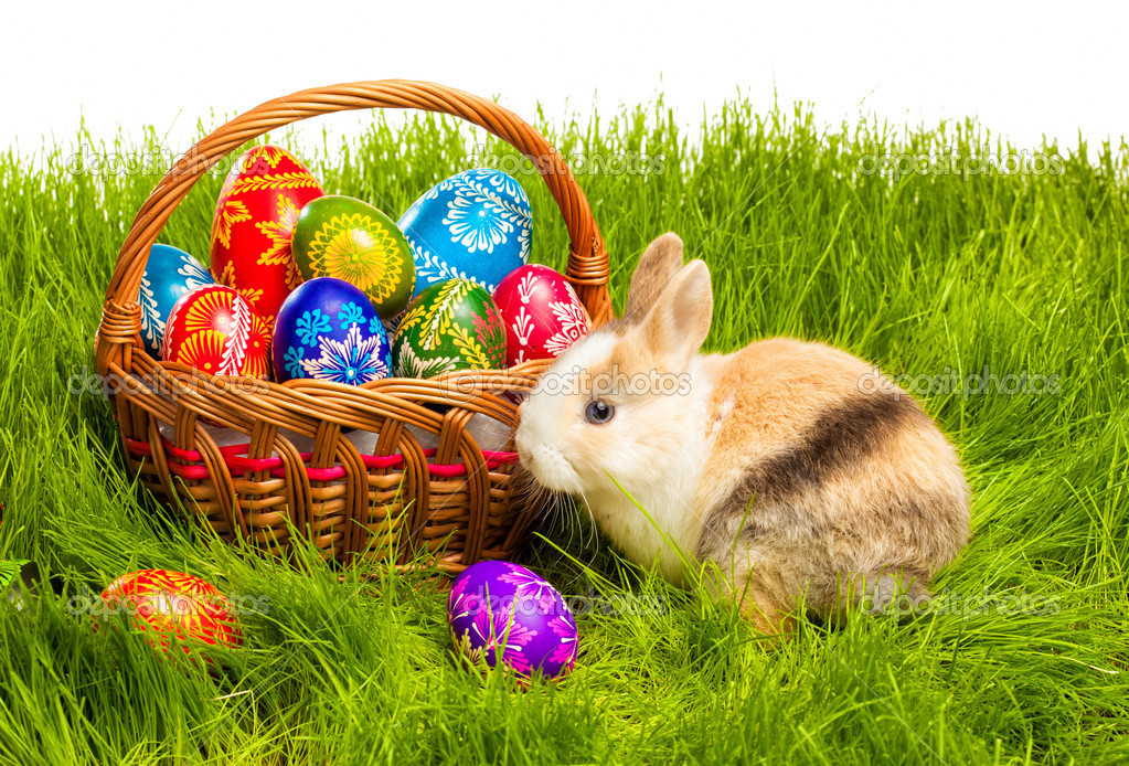 Name:  easter.jpg
Views: 3712
Size:  457.5 KB