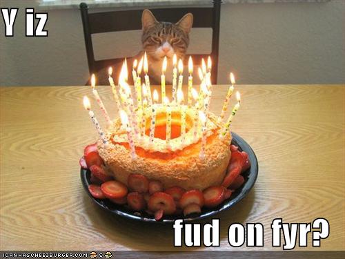 Name:  funny-pictures-cat-wonders-why-the-food-is-on-fire.jpg
Views: 9066
Size:  32.9 KB