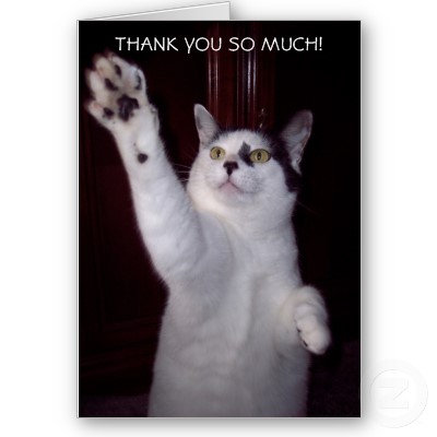 Name:  kitty_cat_thank_you_card-p137362840368057616bfo0b_400.jpg
Views: 1362
Size:  21.9 KB