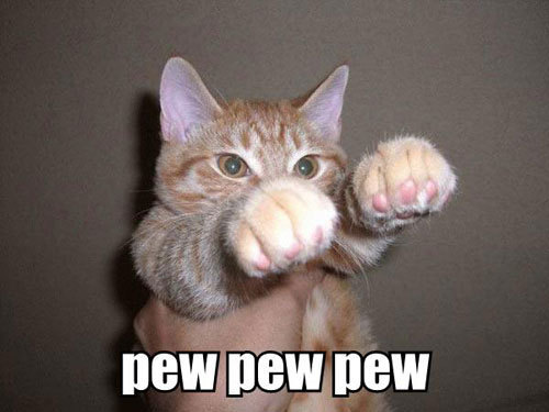 Name:  Funny-Cat-Pictures-cats-935656_500_375.jpg
Views: 2004
Size:  35.0 KB