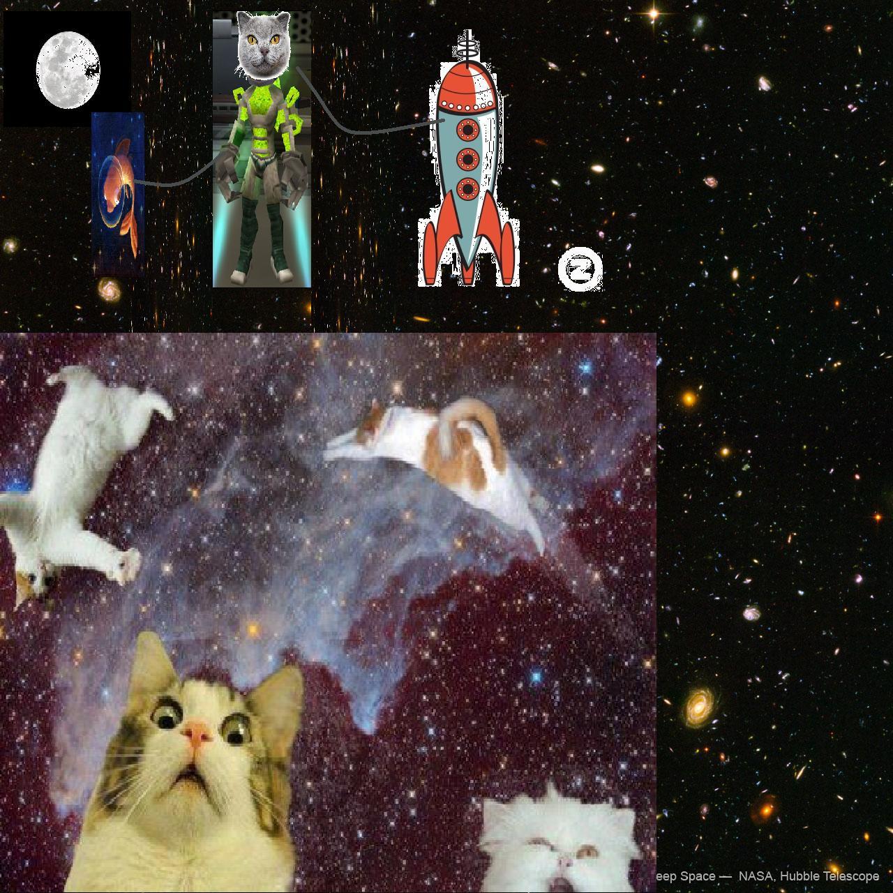 Name:  cat in space.JPG
Views: 127
Size:  279.7 KB
