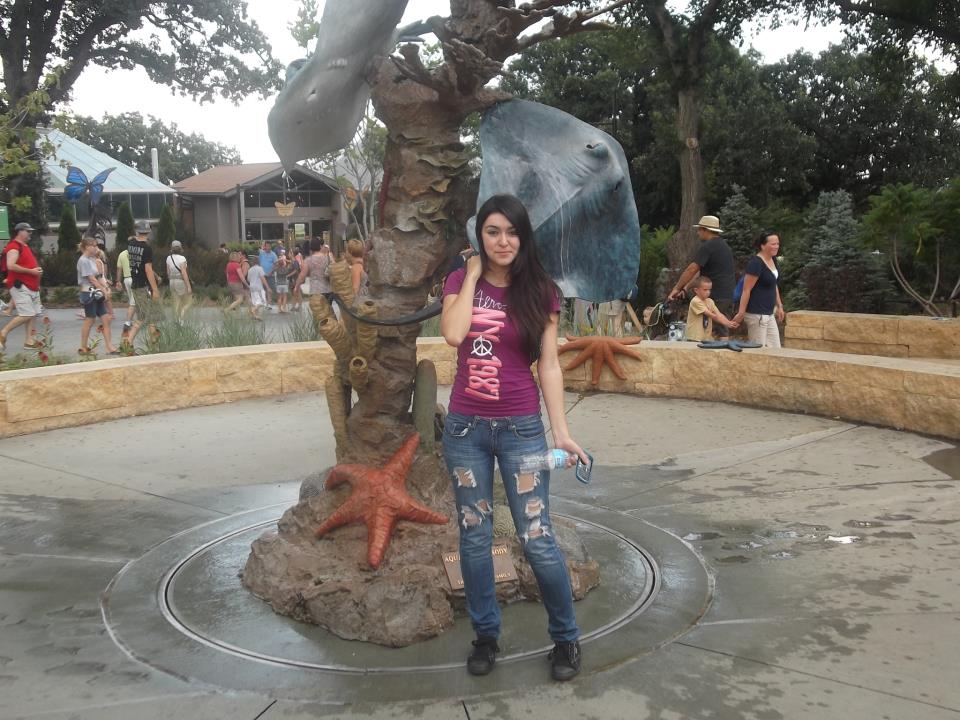 Name:  553715_343759639032489_718283367_n.jpg
Views: 605
Size:  114.4 KB