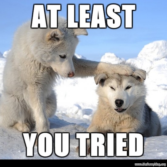 Name:  you-have-tried-cute-husky-funny-blog-550x550.jpg
Views: 438
Size:  67.3 KB