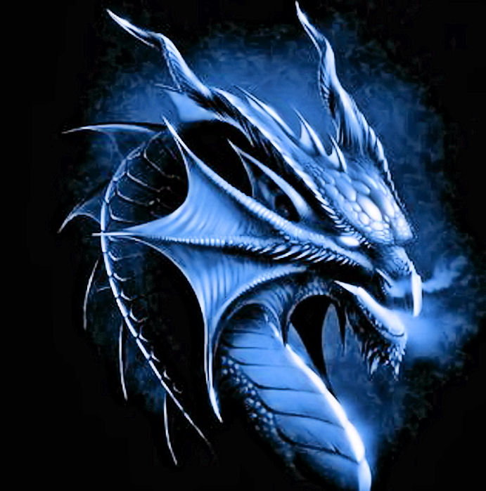 Name:  blue-dragon-black-design.jpg
Views: 2064
Size:  93.2 KB