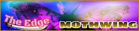 Name:  Mothwing (Me) 1 - By Mitchturbo.jpg
Views: 166
Size:  53.3 KB