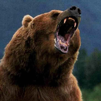 Name:  bear-attack-Alaska.png
Views: 8099
Size:  187.6 KB