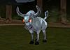 Click image for larger version. 

Name:	al_lunar_new_year_ox_arcanite.JPG 
Views:	1438 
Size:	33.6 KB 
ID:	229609