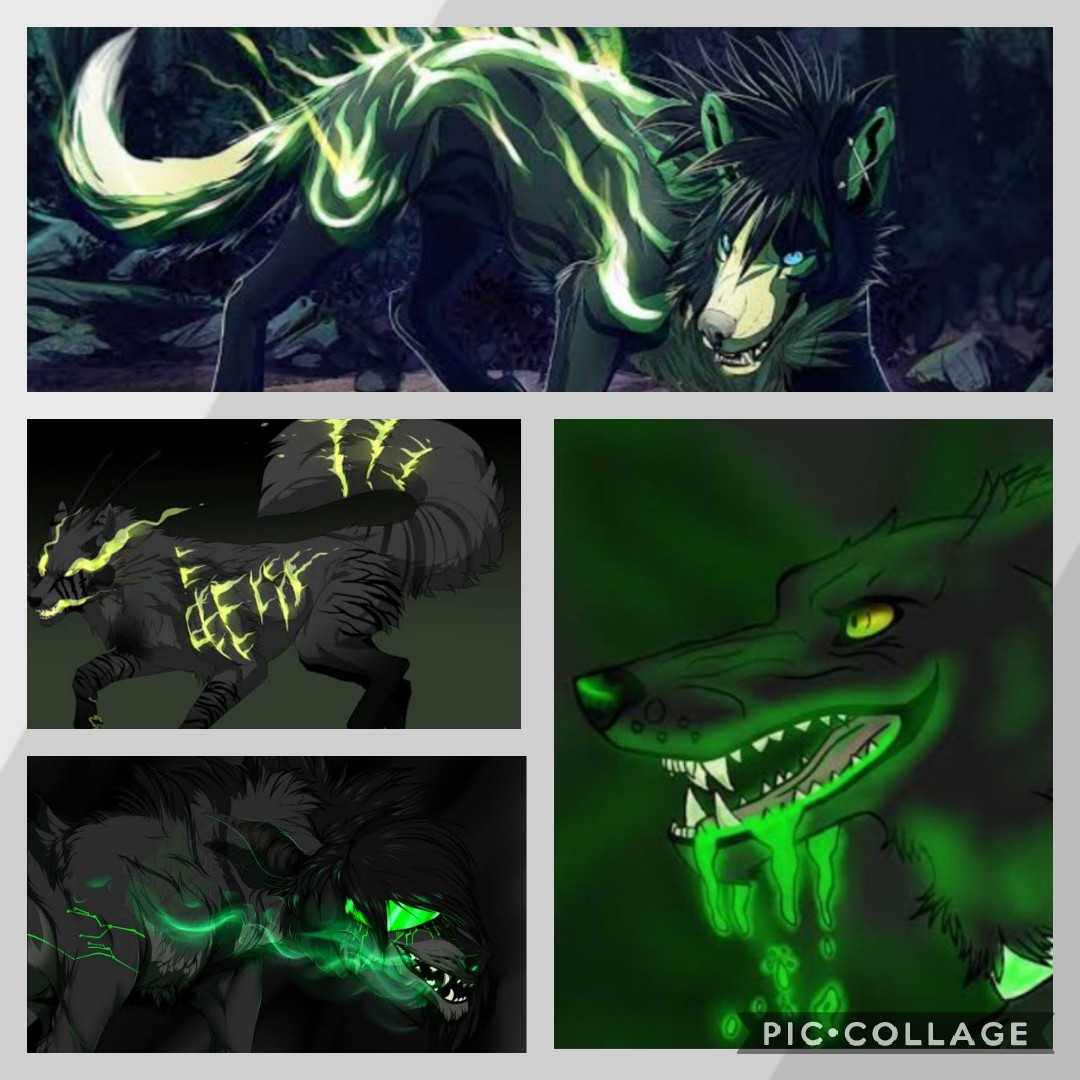 Name:  Collage 2021-07-05 13_18_08.jpg
Views: 781
Size:  187.1 KB