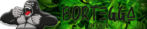 Name:  newbortegga.png
Views: 533
Size:  110.3 KB