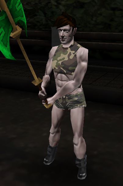 Name:  dl_camo_crop_m.JPG
Views: 2860
Size:  31.6 KB