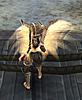 Click image for larger version. 

Name:	hel-wings.jpg 
Views:	2553 
Size:	33.6 KB 
ID:	240215
