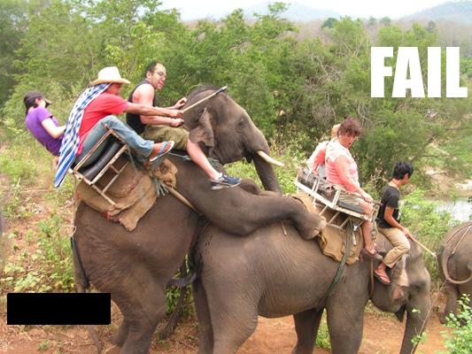 Name:  safari-fail-elephant-sex.jpg
Views: 247
Size:  62.3 KB
