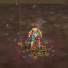 Click image for larger version. 

Name:	nature_deluxe.gif 
Views:	2171 
Size:	2.70 MB 
ID:	254349