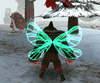 Click image for larger version. 

Name:	green-fairy-wings.gif 
Views:	2743 
Size:	5.33 MB 
ID:	262291