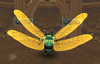Click image for larger version. 

Name:	al_wings_emberglide_edit.gif 
Views:	1679 
Size:	2.44 MB 
ID:	265191