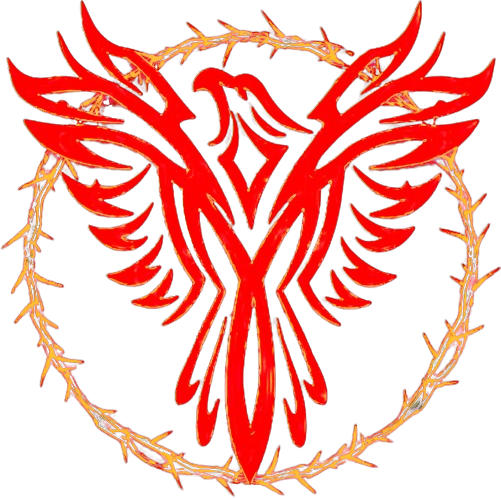 Name:  2024010405305701-1_20240104105631061_20240104105856430-removebg-preview.png
Views: 1234
Size:  321.9 KB