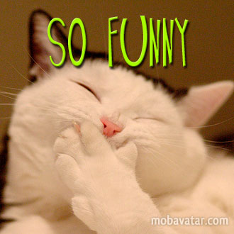 Name:  so-funny.jpg
Views: 336
Size:  24.4 KB