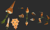 Click image for larger version. 

Name:	weapons_carrot_core.gif 
Views:	1163 
Size:	509.0 KB 
ID:	276856