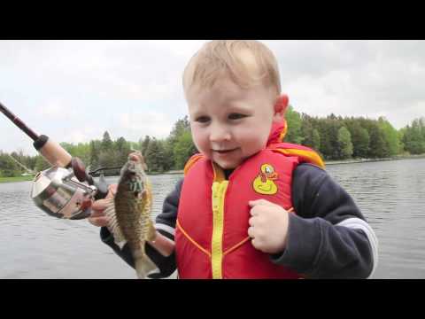 Name:  img_259228_funny-boy-fishing-catches-his-first-fish.jpg
Views: 342
Size:  14.1 KB