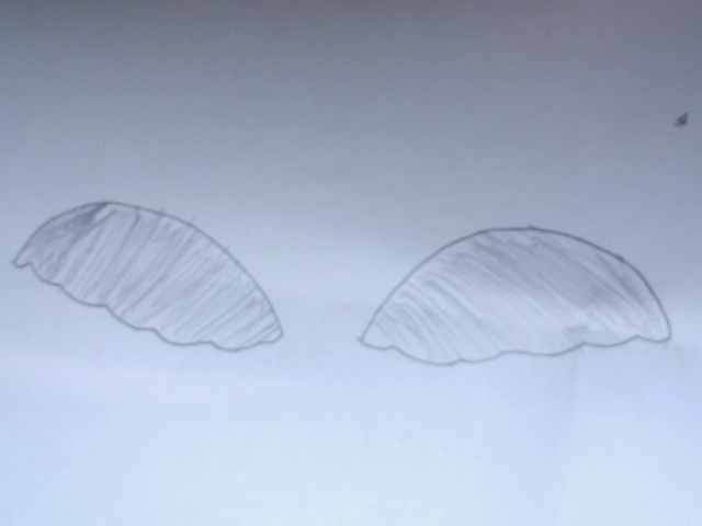Name:  Photo on 2011-11-26 at 13.52 #2.jpg
Views: 111
Size:  37.3 KB