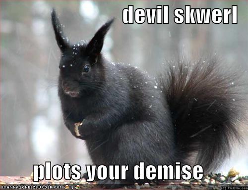 Name:  funny-pictures-evil-black-squirrel2.jpg
Views: 157
Size:  29.8 KB