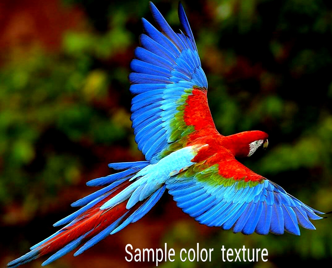 Name:  color sample1193226438.jpg
Views: 1018
Size:  535.4 KB