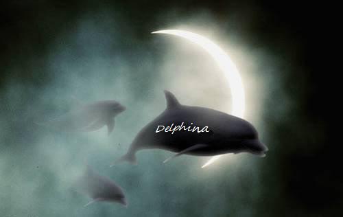 Name:  Dolphina.jpg
Views: 85
Size:  10.5 KB