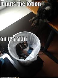 Name:  images-9.jpeg
Views: 102
Size:  7.9 KB