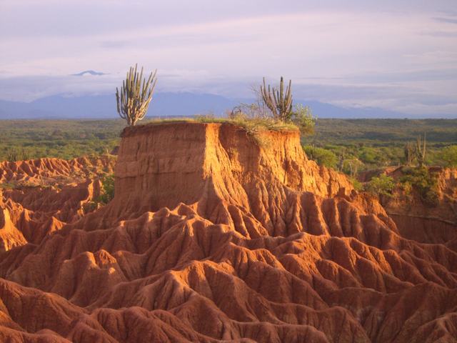 Name:  Colombia-Huila-Villavieja-Desierto-De-La-Tatacoa-274.jpg
Views: 2373
Size:  46.2 KB