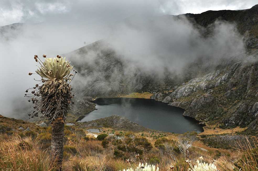 Name:  55bb6e6a6a894f3a08ce3b470d8dfcf6.jpg
Views: 2358
Size:  106.4 KB