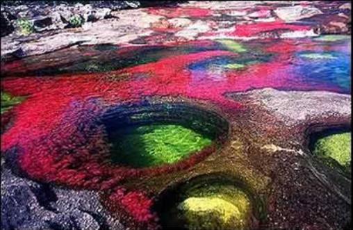 Name:  CristalesEl+Rio+de+los+Cinco+Colores.jpg
Views: 2370
Size:  41.9 KB
