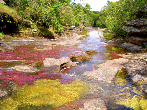 Name:  14 - 1 cao cristales.jpg
Views: 24186
Size:  340.3 KB