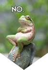 Name:  frog.png
Views: 158
Size:  34.1 KB